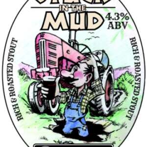 Stuck In The Mud