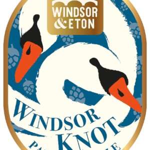 Windsor Knot